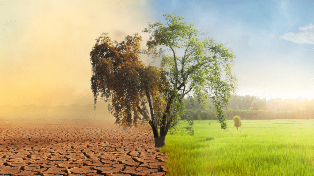 impatto ambientale pannelli fotovoltaici alta efficienza