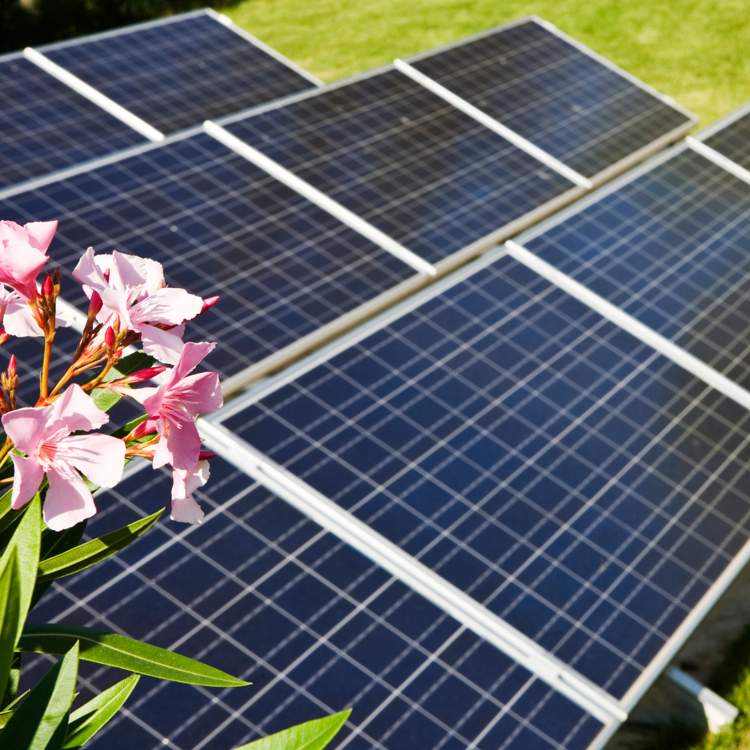 Guida pratica al Fotovoltaico a Terra in Giardino: tutto ciò che devi sapere - Confronta Facile Fotovoltaici a terra